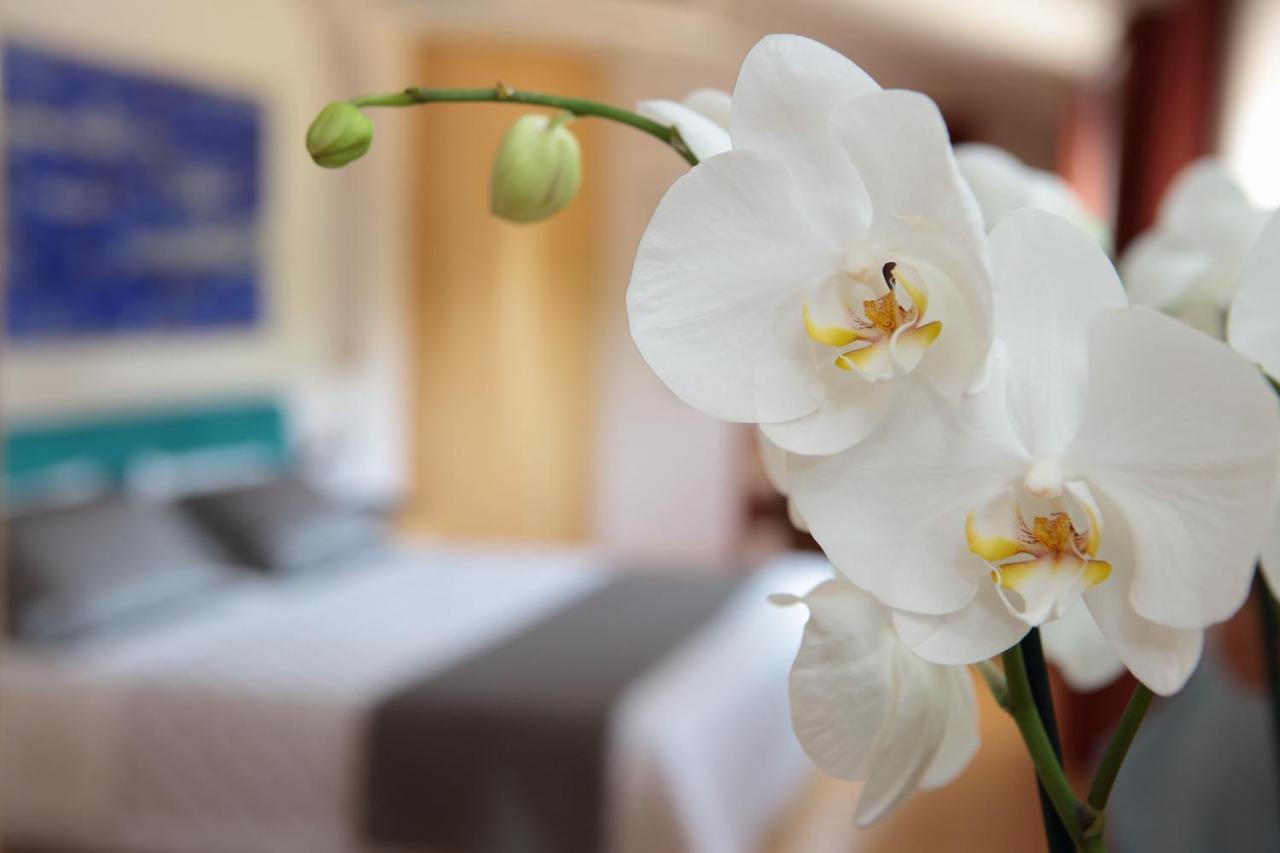 Hotel Conta Taste The Experience 피브디솔리고 외부 사진